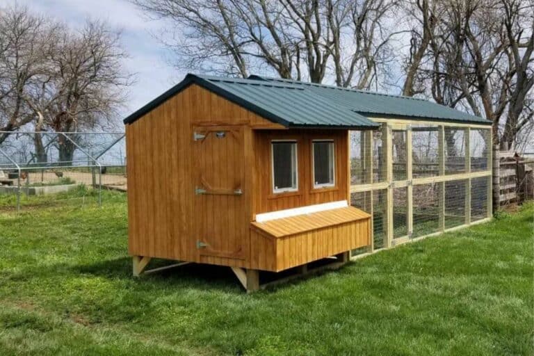 Backyard Chicken Houses For Sale In MO | New 2023 Models